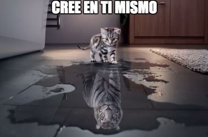 CrisXta's tweet photo. Buenos días títeres ridículos de este extravagante escenario!! https://t.co/RifgxWGFd0