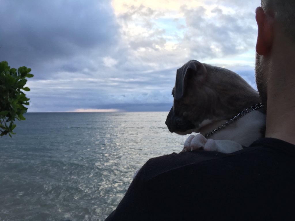 TiffanyKara_'s tweet image. Baby Cash😍😍😍 #firstsunset