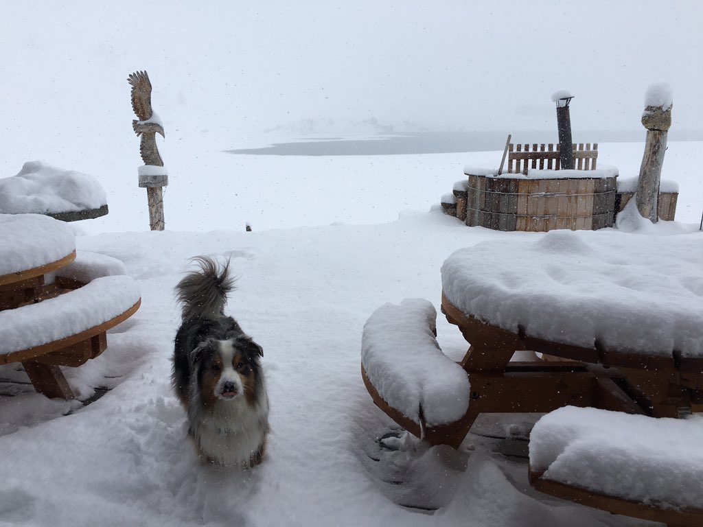 Yesss it's dumping #snow #Tignes #winter !!!