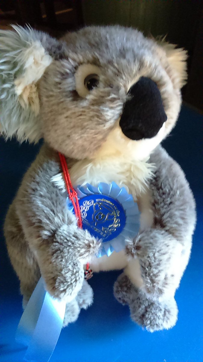 OneWorldSheffSU's tweet photo. The Your Global Sheffield Fair is open in Bar One. Join us &amp; begin your next adventure #worldweek2015 https://t.co/PRND0aFCwK