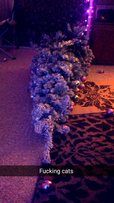 @Khaleesi420 ......... actually the cats conquered it. rip tree. https://t.co/WjAUInJPU0<a class="tags" href="/tag/khaleesi420">@khaleesi420</a><a href="/tag/mvsales"class="tags"><span>#mvsales</span></a>