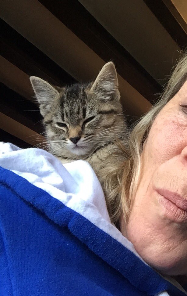 123marie's tweet photo. Evie enjoying a snooze https://t.co/Xho2i0zIbq