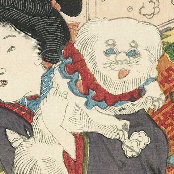 黒猫の究美 上田眞生 歌川国輝画 雪月花 其姿紫の雪 そのすがたゆかりのゆき 三枚続の右から 御小姓に抱きかかえられている狆のアヘ顔っぷり 狆 ちん ロングコートチワワに似た日本原産の愛玩犬 T Co Olwvk4a4ka T Co