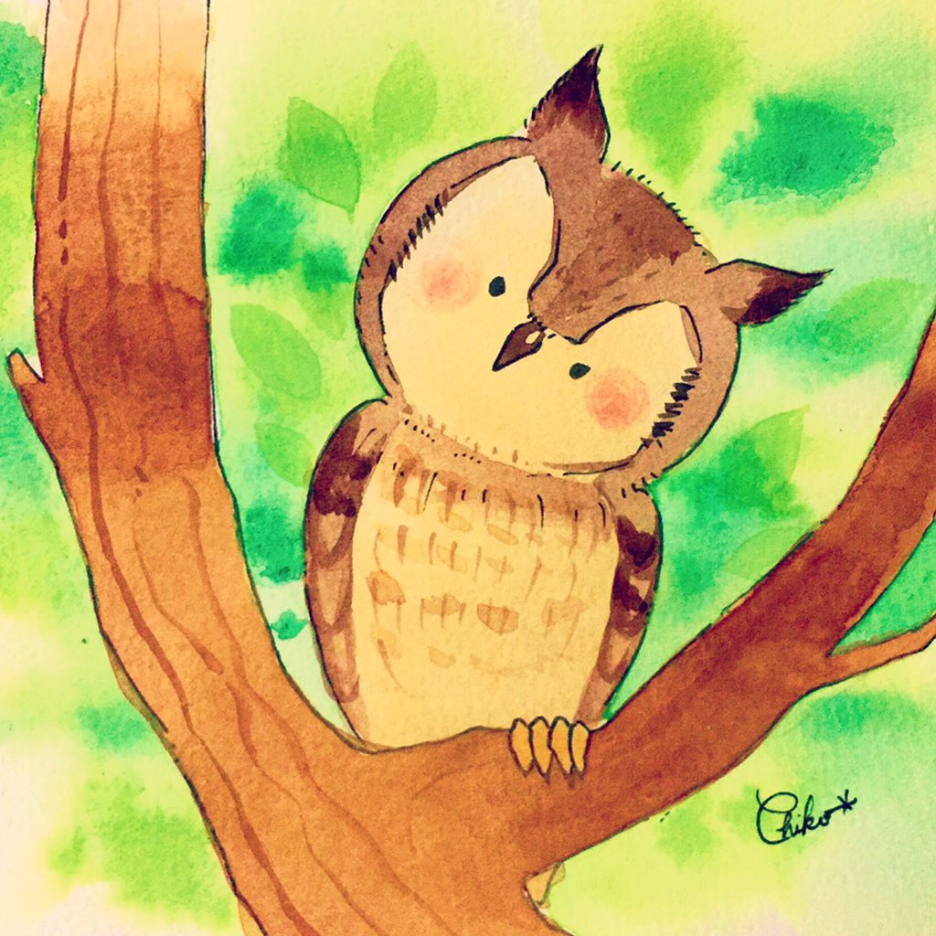 ちこ イラストレーター リュウキュウコノハズク 体が小さなミミズクさんです 石垣島で描いた最後のイラストです 本当に楽しい1ヶ月でした T Co Aevrq9pcr1