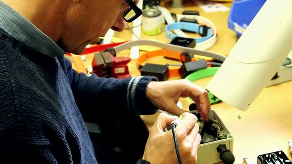 BBCNews's tweet photo. Meet the "gadget man" who helps the birds https://t.co/CwIz8YH7U9 https://t.co/u85pQTvdDx