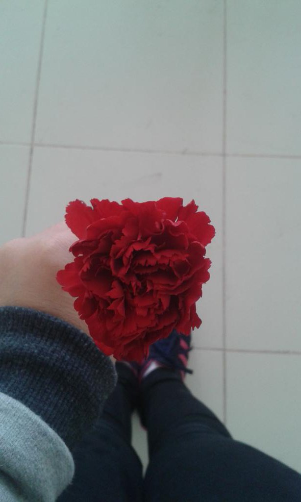 bensewdim's tweet photo. Ahah emre bana çiçek de alırmış :)) https://t.co/sgX34i6jHj