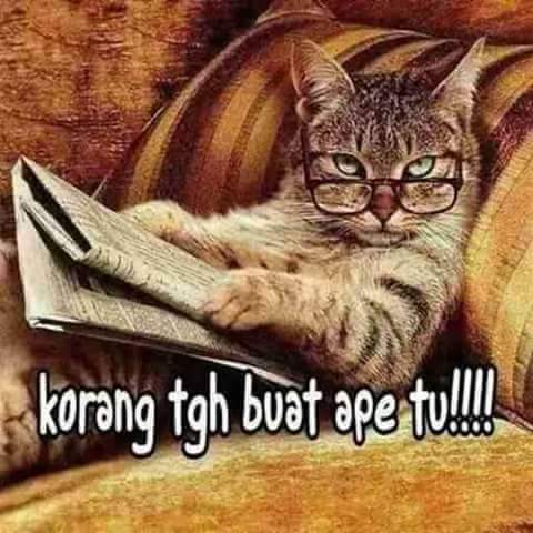 aziruka's tweet photo. #mdslendu #adoodo https://t.co/D1i4H8jwdX