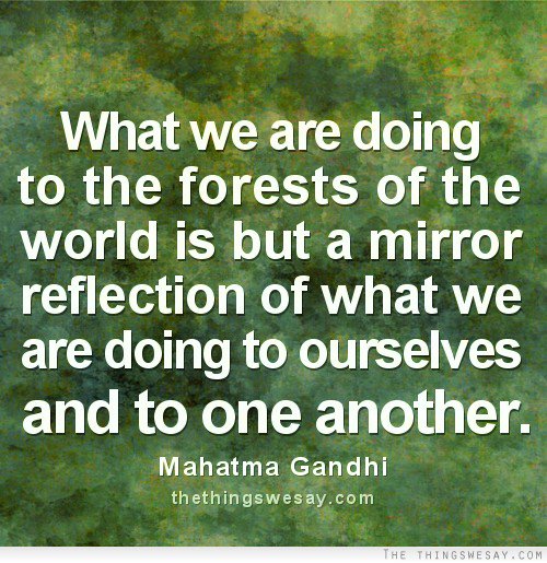 AgroTree's tweet photo. “What we are doing to the forests of the world is but a mirror reflection of what we are https://t.co/xEqiJrE6p9 https://t.co/pROBAzxjWv