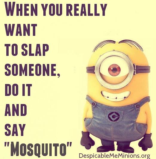 Image result for wednesday minion