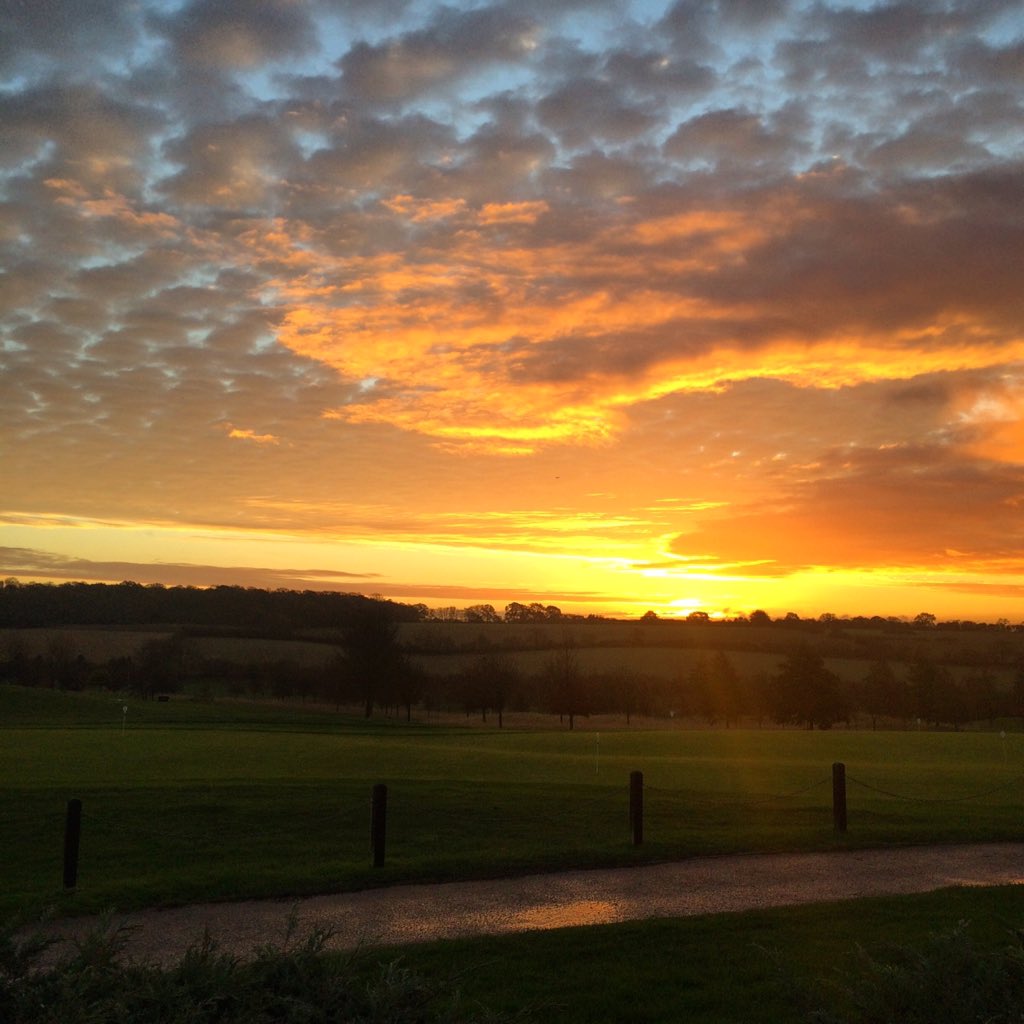 thethomsontour tweet media