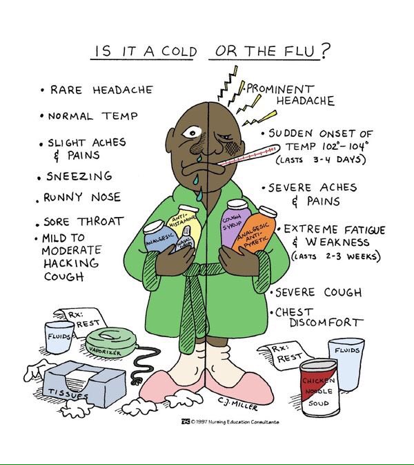 ardanradio's tweet photo. #ChllingTime

Penyakit Musim Hujan

Flu! 😷🤒
Harus banyak minum vitamin biar daya tahan terjaga

#HEGARMANAH https://t.co/7kG2UQ4olu