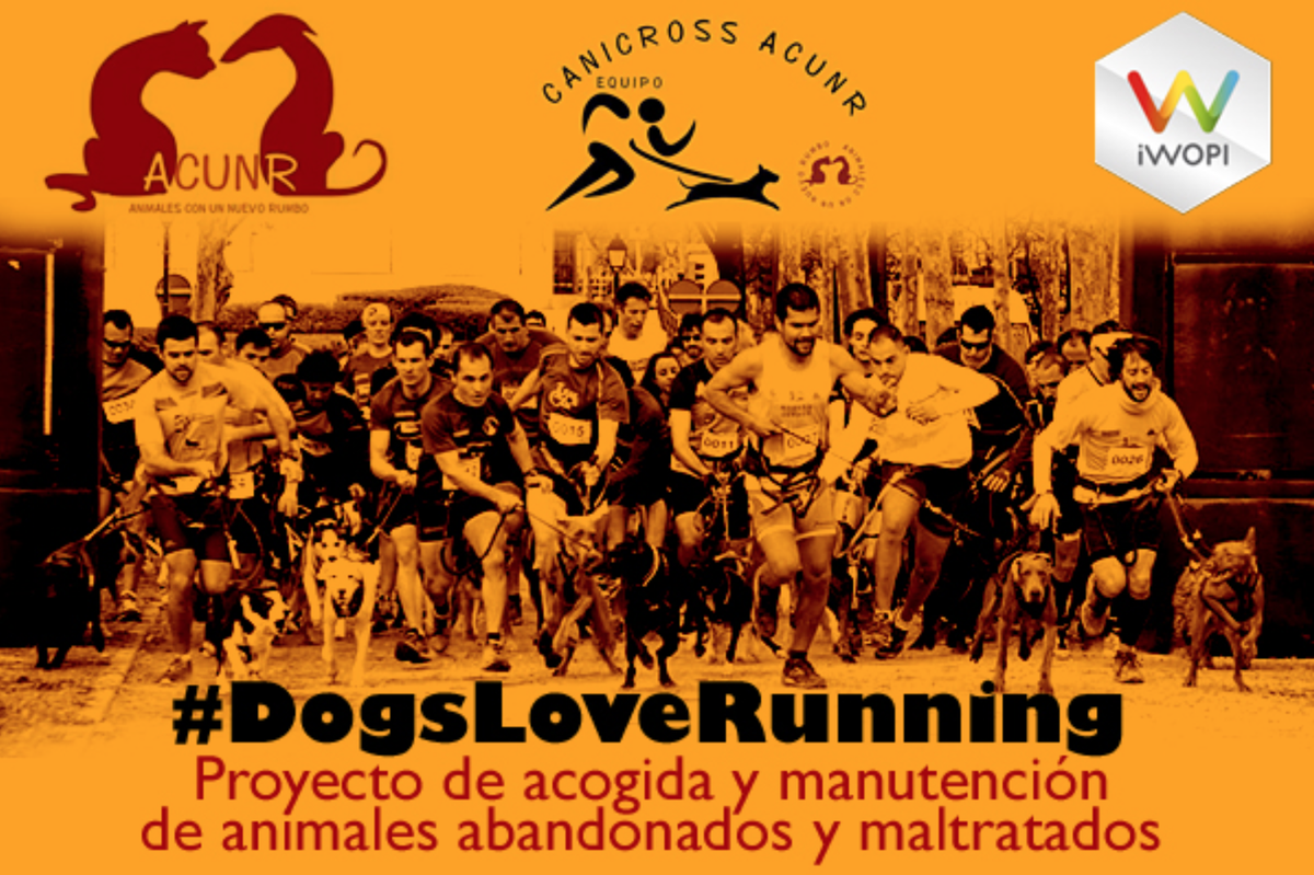 iWOPI's tweet photo. ¡Ayer cerramos #DogsLoveRunning!
Casi 3500 iWOPIERS cerraron la causa con mas de 350.000 km’s donados.
👏👏👏👏👏 https://t.co/DMHe7ezRfP