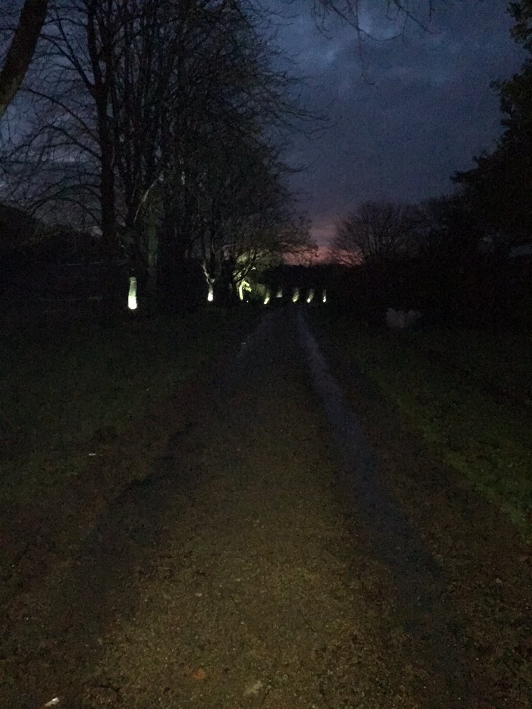 TBrammer's tweet photo. Dark wet and muddy up Alderley Edge #Brilliant #absolutelyaverage https://t.co/jj0Td2L3DZ