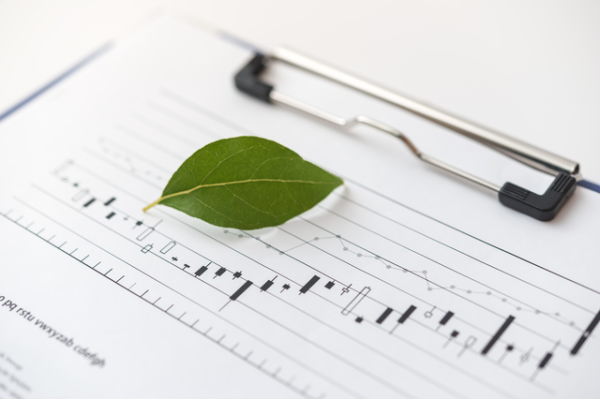 �����߲����ؤθ�����