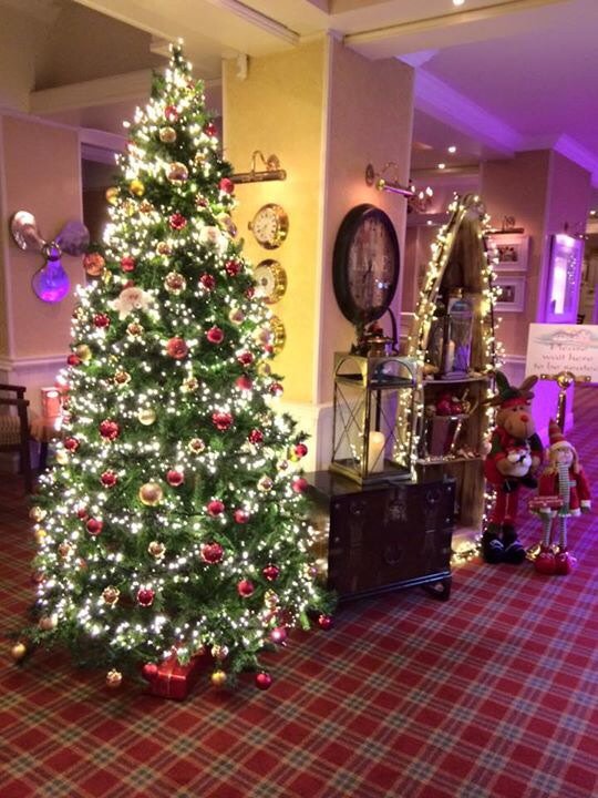 TheLochHouse's tweet photo. Pop in for some fabulous food and experience our Christmas warmth! We look forward to welcoming you 🎅💫 https://t.co/E71gXRQrUz