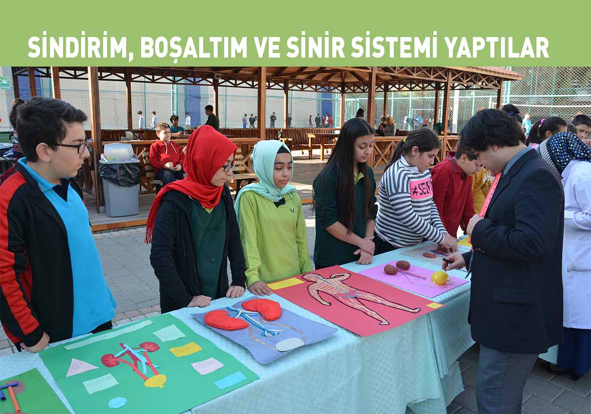 burcokullari's tweet photo. Özel Burç Çukurova Ortaokulu öğrencileri sindirim, boşaltım ve sinir sistemlerini yapmış oldukları birbirinden... https://t.co/xuFpzJrFw5