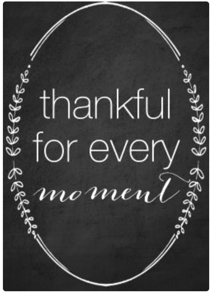 MelissaStanner's tweet photo. I'm thankful for leaders who work hard and play hard! Thanks @domcolosimo and the D146 Team! #R100thankful https://t.co/PdlKXT8WiL
