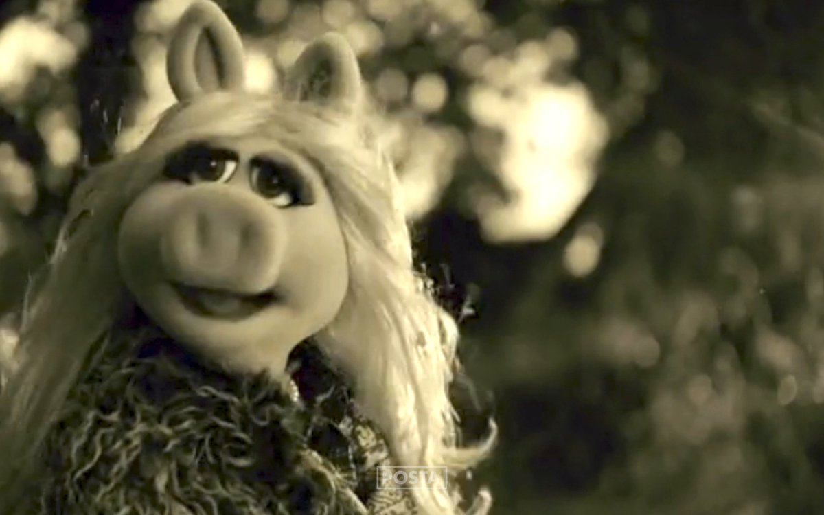 robgonbe's tweet image. La versión de la cerdita Peggy del Hello de #Adele 👏👏
elpais.com/elpais/2015/11…
#musica