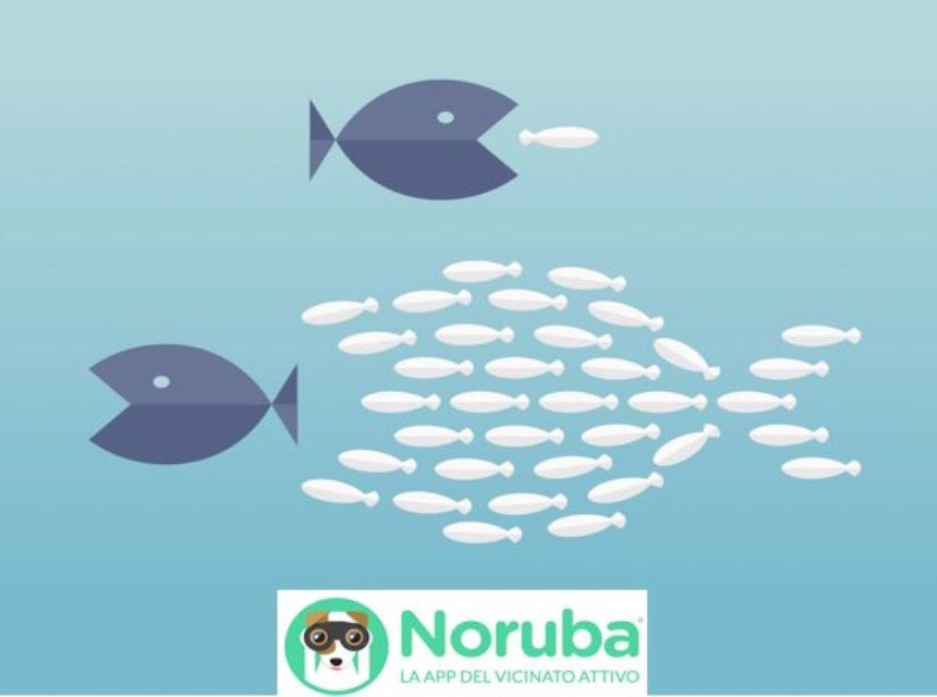 InfoNoruba's tweet photo. Uniti ci si difende meglio, collabora con i tuoi vicini. Scarica gratuitamente la app del vicinato attivo. #furti https://t.co/aGxRiizqog