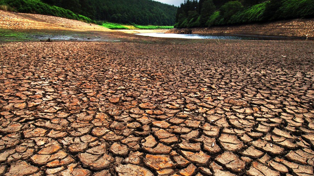 Independent_ie's tweet photo. Think it's cold out? Well, 2015 is likely to be the hottest year on record. https://t.co/DCAsr2oXQF https://t.co/Dx1AL1iFWM