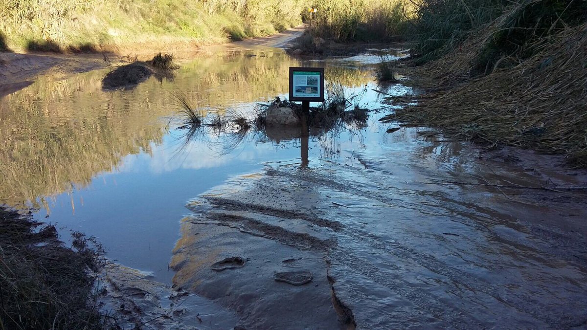 ajAltafulla's tweet photo. @ajAltafulla ens felicitem per la baixada d'aigua del riu Gaià fins al mar #cabalecologic #BaixGaia #territori #rius https://t.co/cQQG7dHZxW