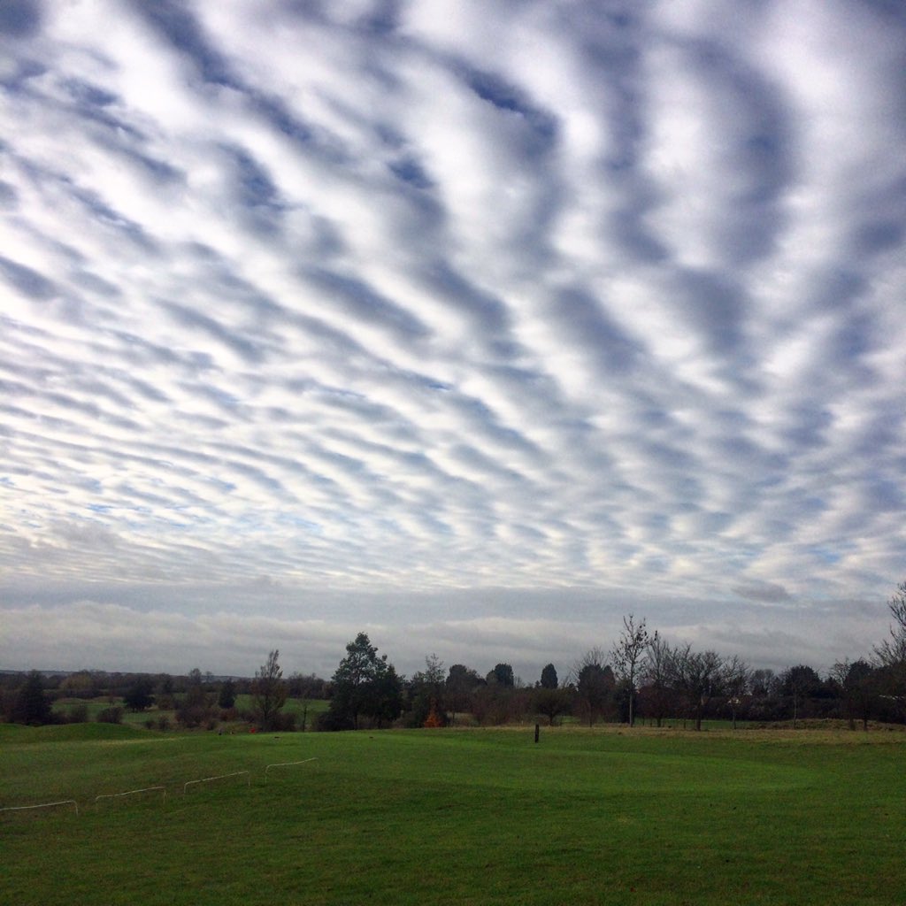 thethomsontour tweet media