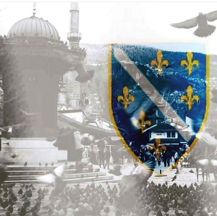 littlestpea1's tweet photo. Sretan rođendan Domovino!❤ #ponosna i #prkosna Bosna i Hercegovina💪💙💛 https://t.co/wLzp2nDvIY