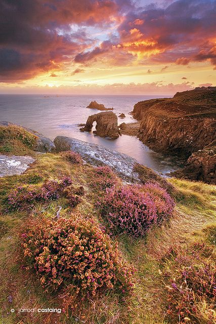 Ltd_To_Two's tweet photo. Serenity for the soul.....

Sunset over Land's End, UK.
by Margaret Tompkins
fnd(https://t.co/HMalGcXPtV) https://t.co/lM8tj79FQL