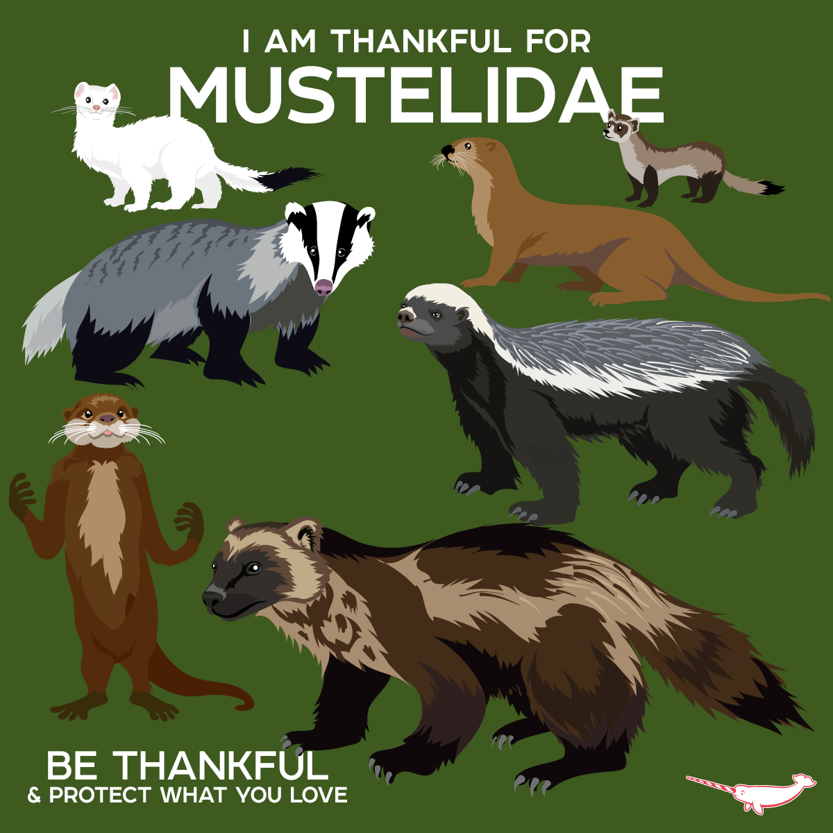 PepomintNarwhal's tweet photo. I'm #Thankful for Mustelidae!
#ConservationThroughCreativity
https://t.co/2BsS6D0k2Z https://t.co/wMcNA3ieK1