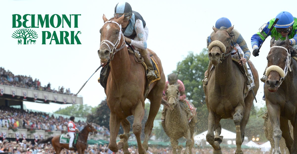 TheNYRA's tweet photo. Just in time for #BlackFriday, save 25% or more with special Belmont Park holiday offers: https://t.co/xqpPlClUh2 https://t.co/YgJ7BNit3I
