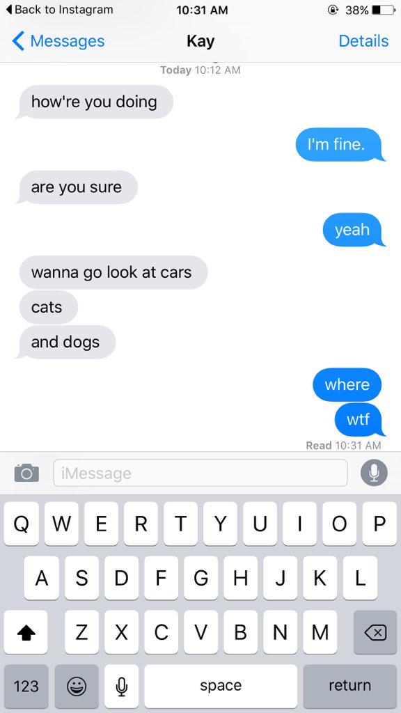 hannahrae271's tweet photo. @DeniseMarieKay is honestly the best person in my life rn... she knows exactly how to cheer me up 🐶🐱 https://t.co/saLhdBHO22