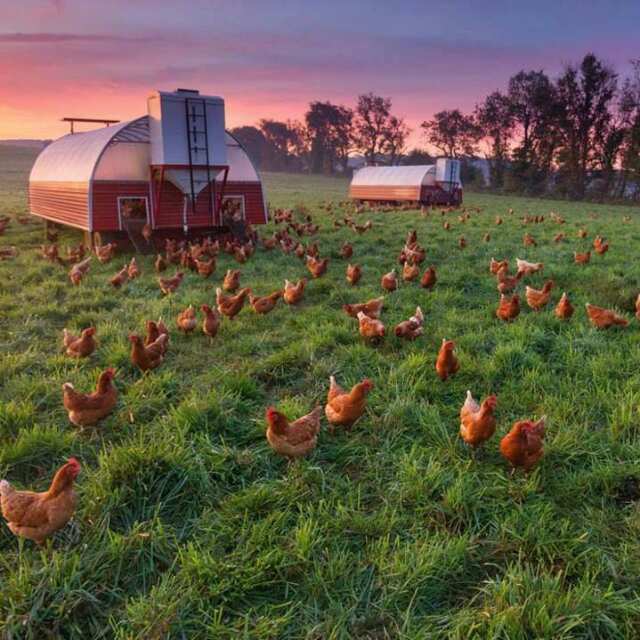 SNote45's tweet image. 