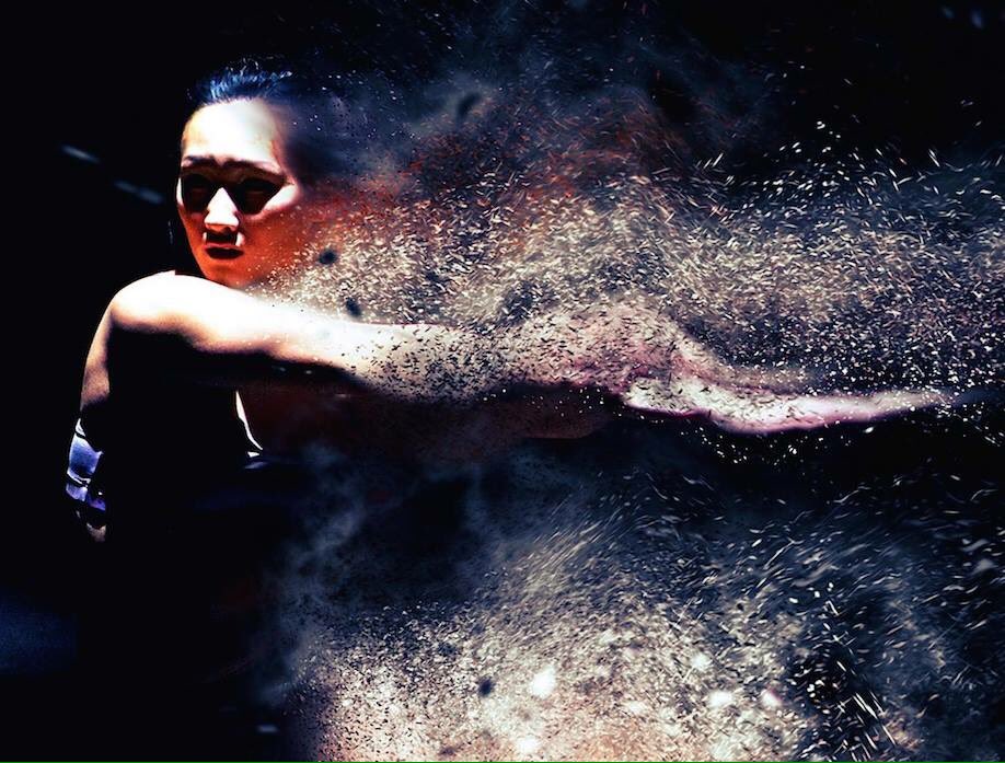 Fall Dance Concert is 7:30 12-4 &amp; 2 12-5 in the Ted Paul. Student Showcase is 2 12-6. Tix @ MSUTheatre.com.