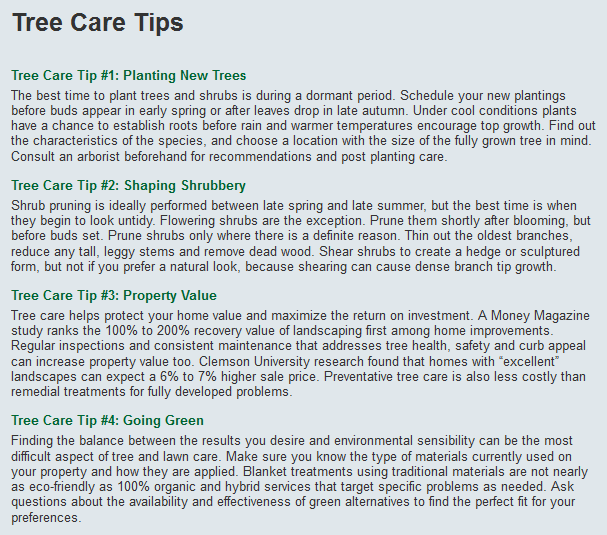 GenesisTreeSrvc's tweet image. RT  #TreeTrimming #BrushChipping #SanRamonTreeServices