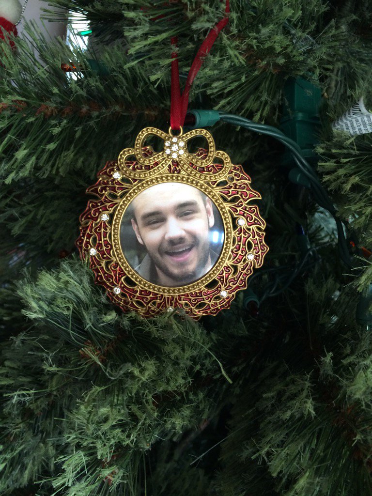 hoosierliam's tweet photo. My favorite Christmas ornament 🎄😀 @Real_Liam_Payne https://t.co/1ZOGCTJwiY
