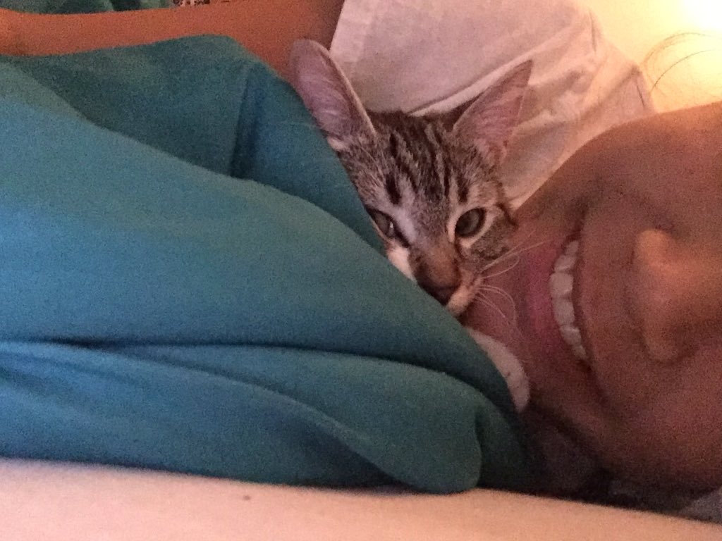 SuckMyJules's tweet photo. I think Binx knows I won't see her for a few days #KittyCuddleTime https://t.co/5HKjjNJ4Tq