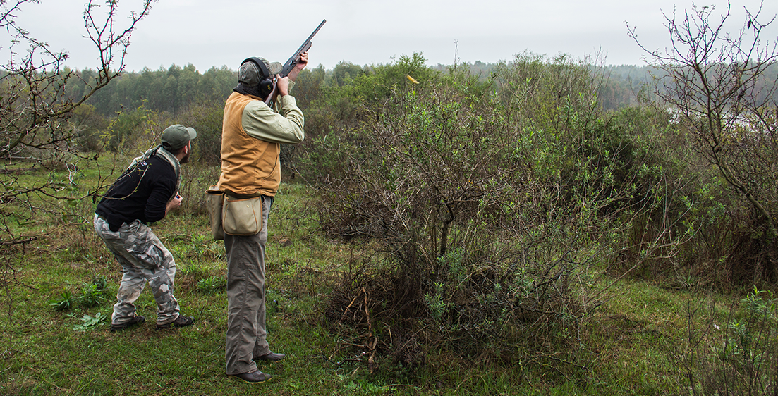 Rangers_Hunting's tweet photo. The best experience as far as quality and shooting volume are concerned. #DoveHunting
https://t.co/AB6dFtgNdK https://t.co/zwtcKvQjWW