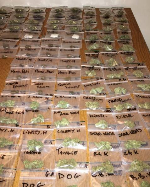 GreyArea420's tweet photo. #amsterdamunitycup
#GreyArea420
https://t.co/gNRsvDUlOe …
https://t.co/oDw8m64tWM https://t.co/J7cQQciZ12