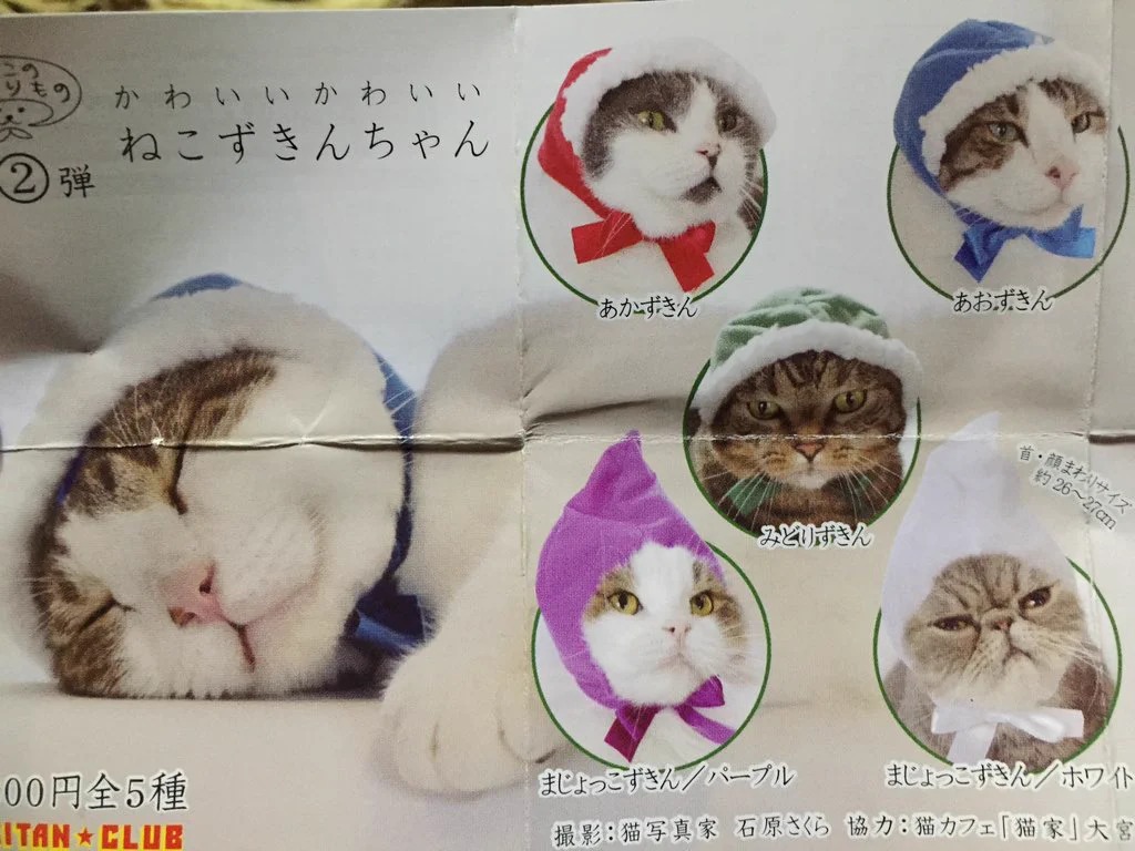 【ねこんずきん】を着れば、自慢の愛猫もワンランク上の可愛さに変身するよ‼️