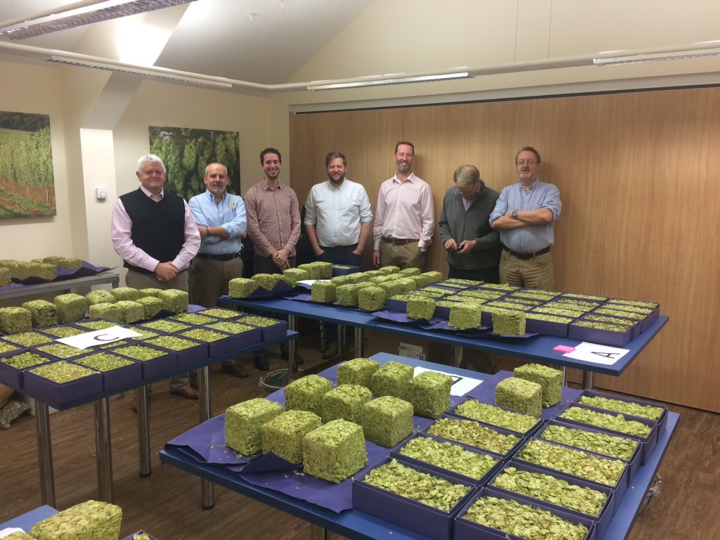 CharlesFaram's tweet image. Judging team assembles in the Faram sample room for the IBD British Hop Competition @IBDHQ @bdi_magazine 192 entries