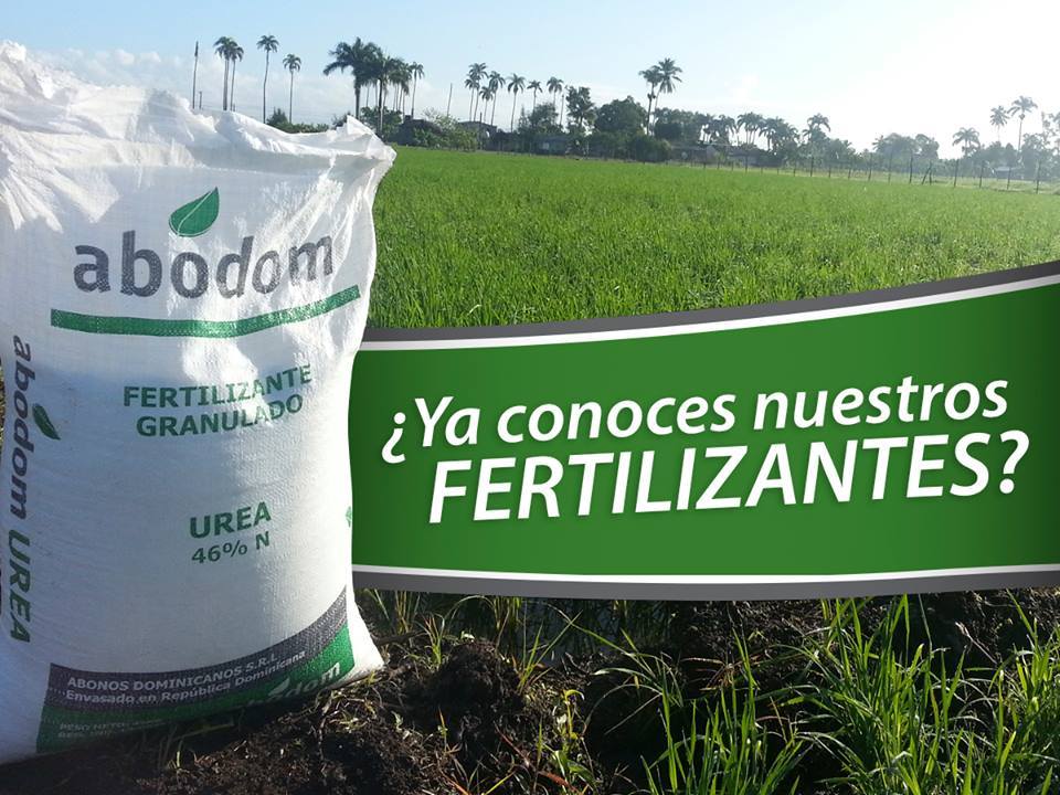 abodomrd's tweet photo. Abonos Dominicanos somos una empresa fabricante de fertilizantes químicos y físicos. https://t.co/5aA5Am8sf5