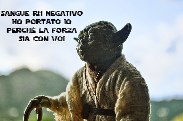 Dopo le notizie diffuse in rete, raccolta testimonianza diretta #bufalesulweb #sischerza <a href="/disinformatico/">So long, and thanks for all the fish</a>