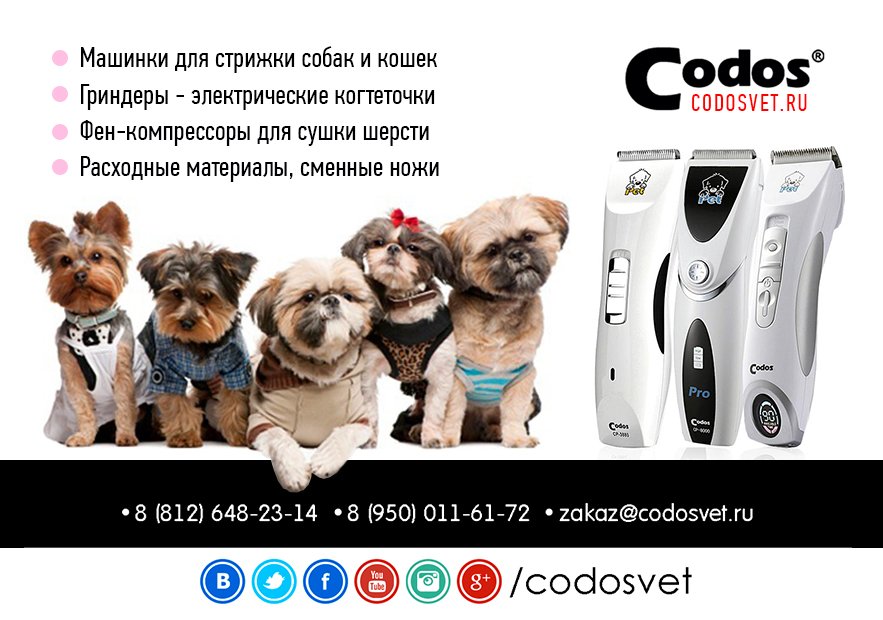 Skyteacher's tweet photo. Машинки для стрижки животных https://t.co/3Tl5Imo9RH
#стрижкаживотных #машинкадлястрижки #codos #codosvet #grooming https://t.co/mw4RfmQ3lQ