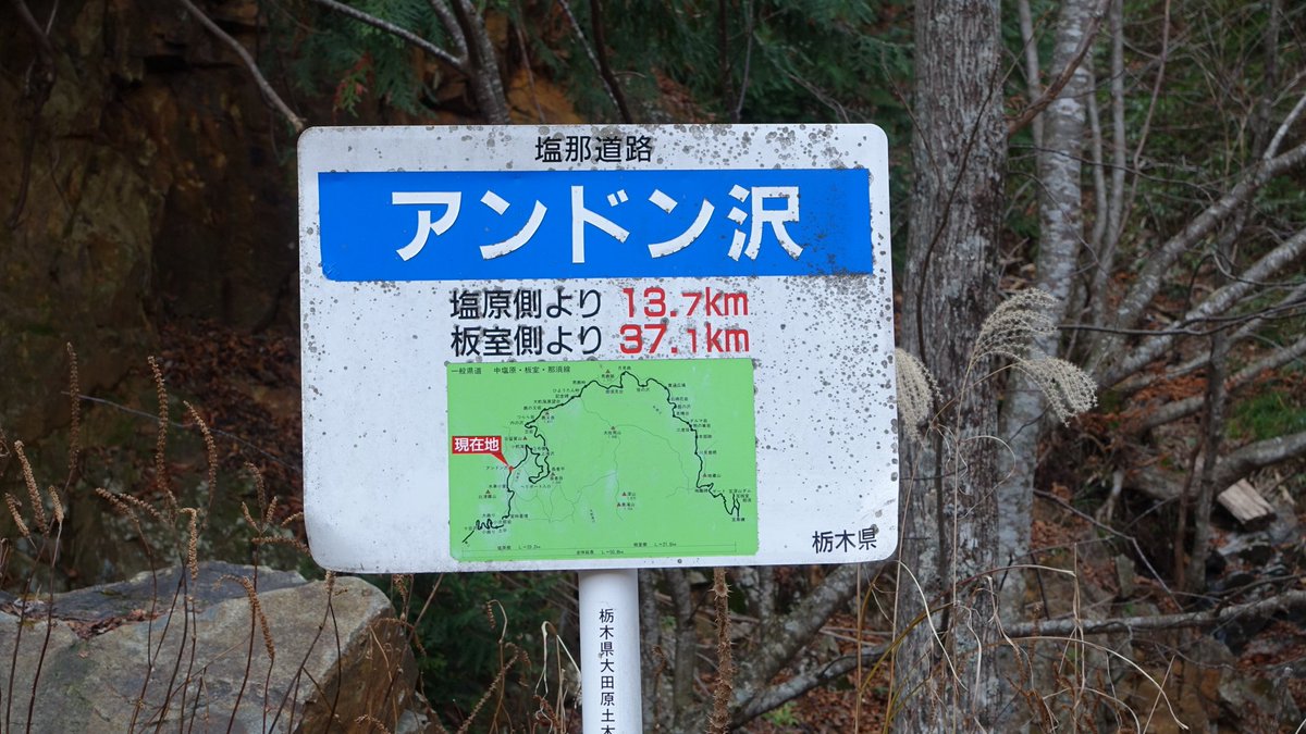ようへい🐻 tweet media