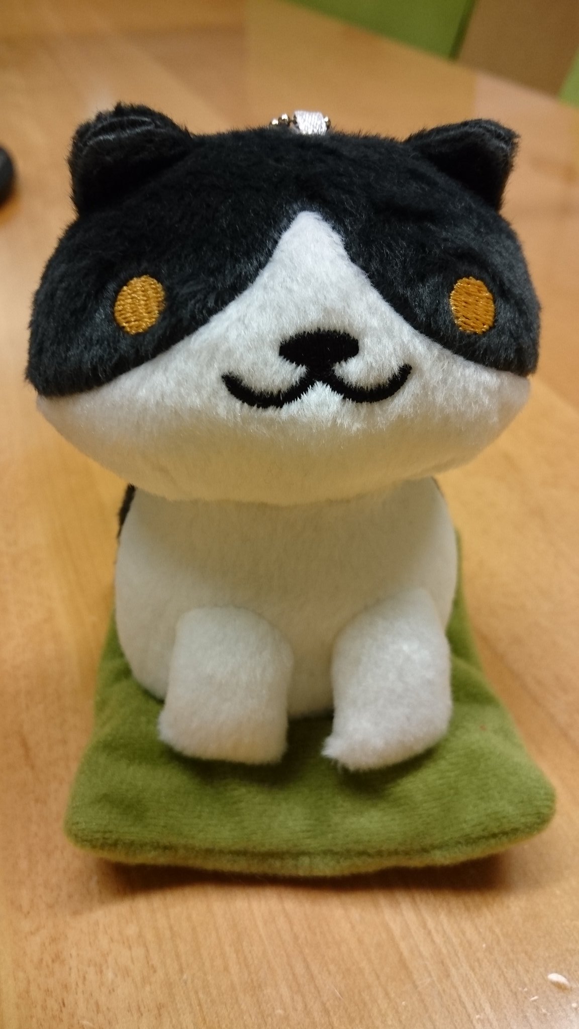 ⚫︎ねこちゃん⚫︎ 四月朔日ねねこ on X: 