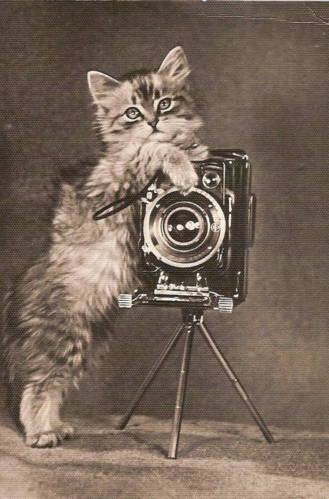 Анимацией, открытка день рождения фотографа