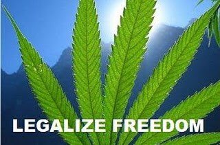 LabsPresident's tweet photo. Legal Drugs are your patriotic duty Vote #Labs4Pres https://t.co/U77itcuIwr