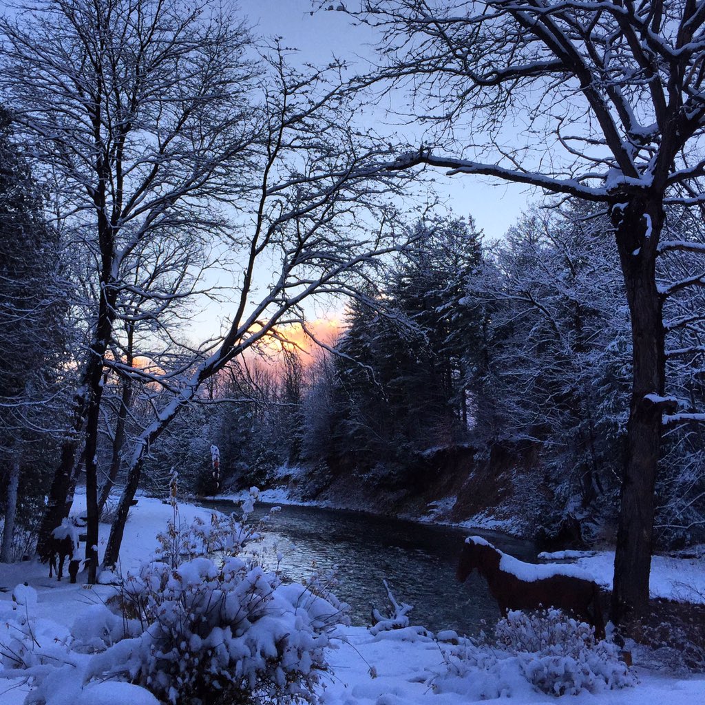 ArleneDickinson's tweet photo. Good morning! 🇨🇦❤️❄️⛄️ https://t.co/tajxotvkis