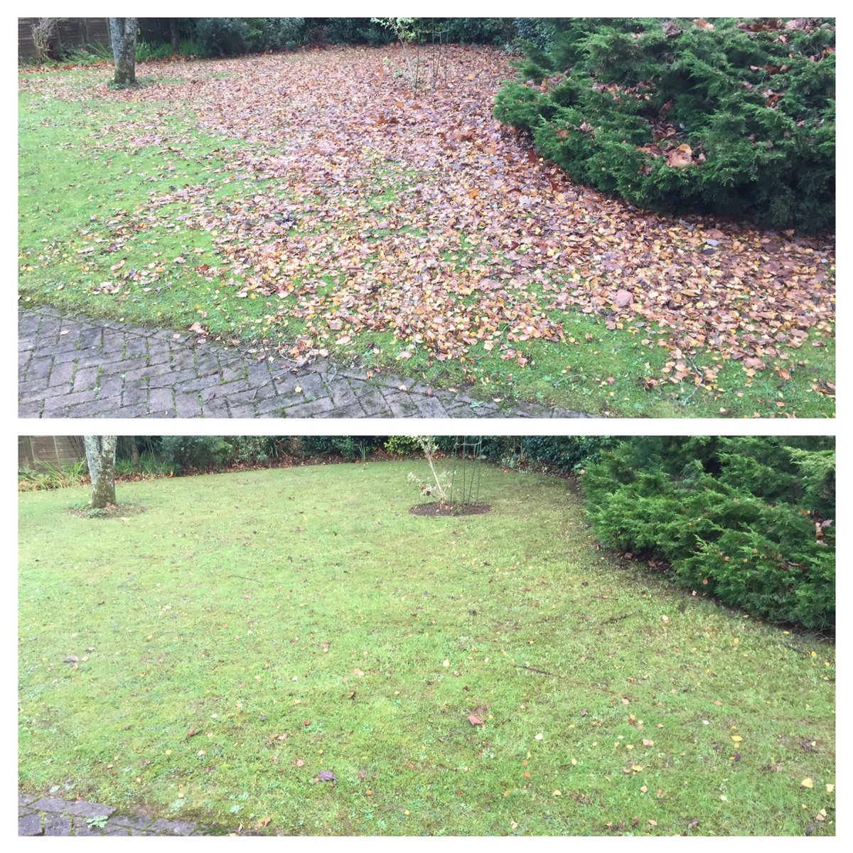 jarmansgarden's tweet photo. Autumn leaves need clearing give us a call on 07817373482. Prices start from only £12.50 per hour #winterclearance https://t.co/IANo6cmNJ0