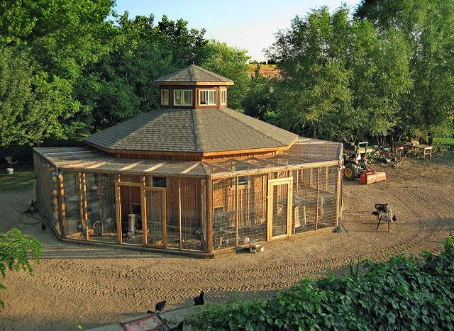 Great coop! - #gardens #gardening #garden #landscaping #diy gardeninglifetoday.com/great-coop/